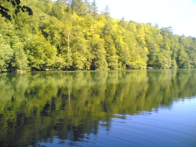 Goruntu(2569) Goruntu(2569)