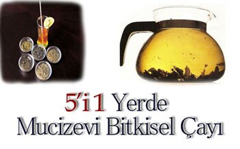 ender saraç 5′i bir yerde