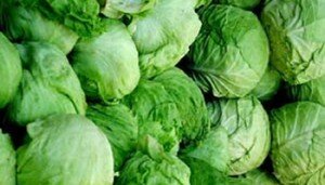 sems aslan lahana kuru