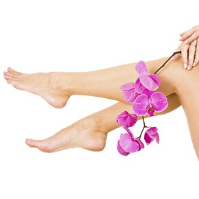 sems aslan varis tedavisi