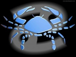 2013yengec burcu ask hayati