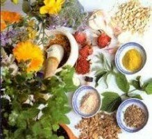 seker hastaligina iyi gelen bitkiler