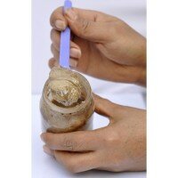 sigla yagi faydalari